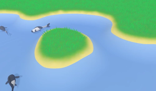 Terrain colorization